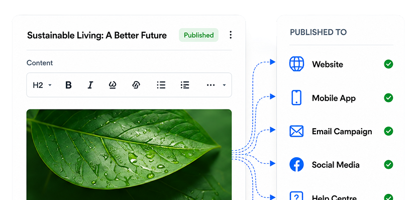 Repurpose Content Everywhere